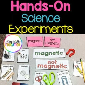Magnetic and non magnetic science experiment project