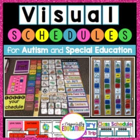 Colorful Visual Schedules for Autism and Special Education hanging on a wall and spread out on a desk