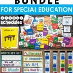 Front cover of The Life-Changing Bundle for Special Education Teachers Pay Teachers product