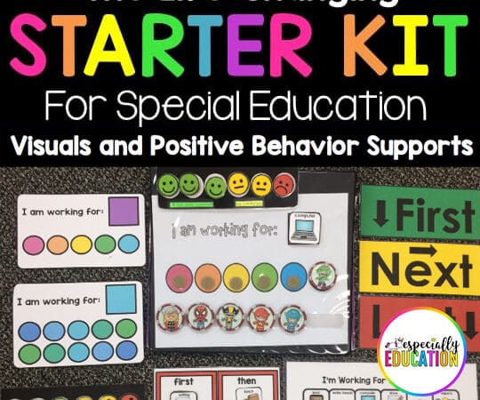 The Life-Changing Bundle for Special Education