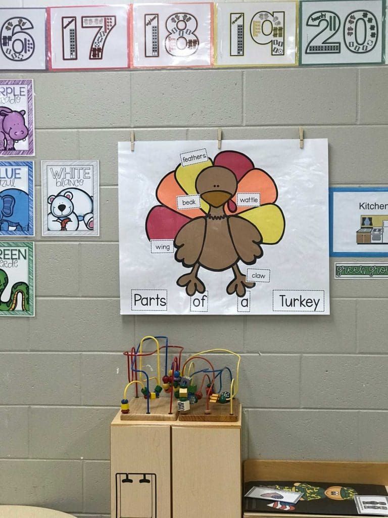 Kindergarten and 1st grade ESE teacher's Made For Me Literacy Part of a Turkey materials hanging on a wall