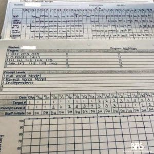 Photograph of data collection grid sheets.