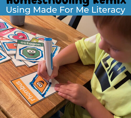 Homeschooling Remix Using Made For Me Literacy