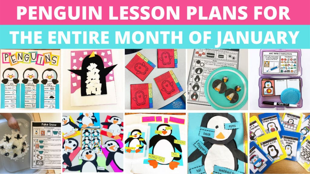 A collage of various of activities including a storyboard, results of visual recipes for a penguin cookie and for fake snow, file folder, task box, and assessments.