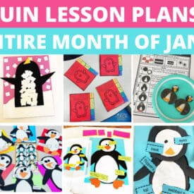 A collage of various of activities including a storyboard, results of visual recipes for a penguin cookie and for fake snow, file folder, task box, and assessments.