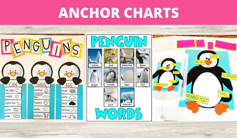 A Visual Tool for Education – Maximizing Learning Potential with Anchor Charts