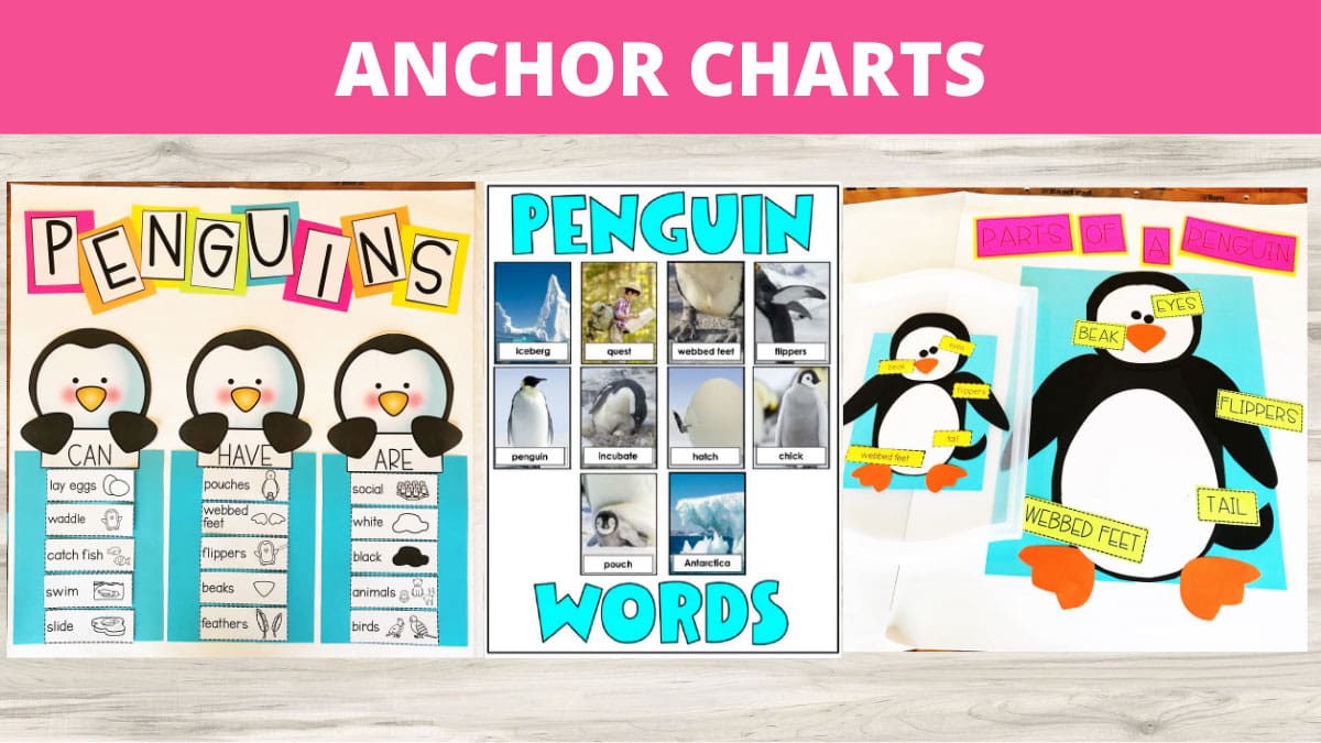A Visual Tool For Education Maximizing Learning Potential With Anchor A Visual Tool For Education Maximizing Learning Potential With Anchor