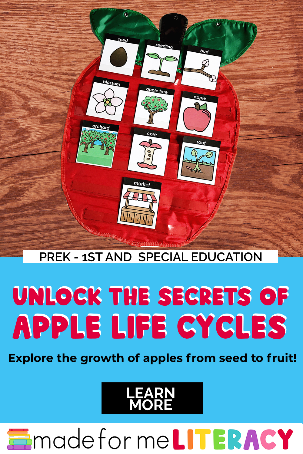 A picture of an apple activity in the made for me literacy all about apples unit.