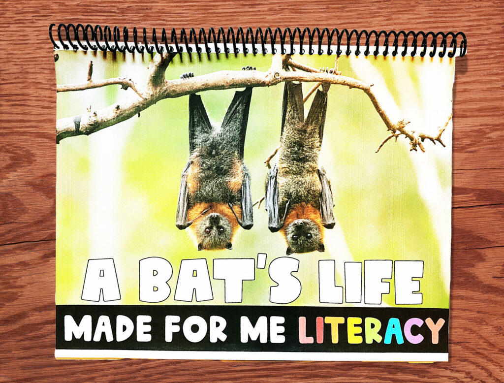 a book about bats by made for me literacy