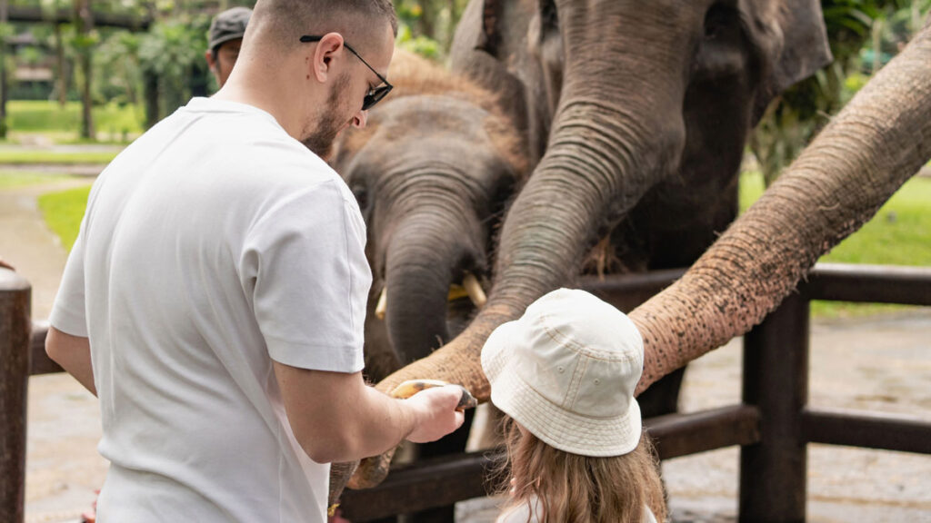 Father and daughter at the zoo feeding the elephants