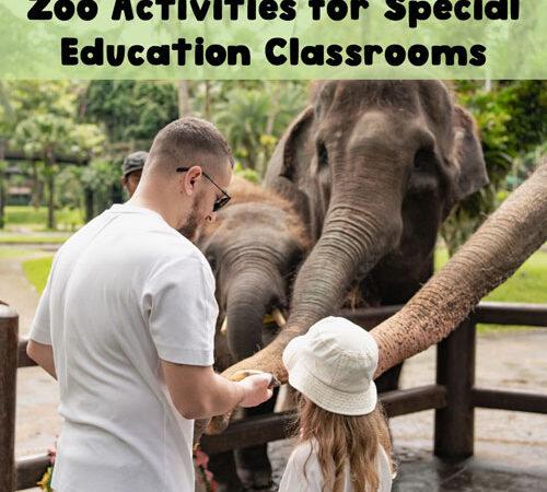 Let’s Go to the Zoo—Without Leaving the Classroom!