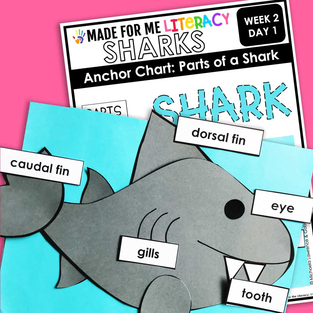 Shark parts anchor chart activity that builds vocabulary and understanding through hands-on learning