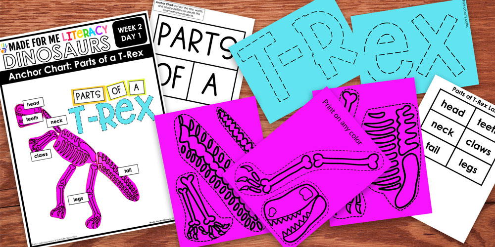 Everything needed for a dinosaur special education anchor chart and labeling activity 