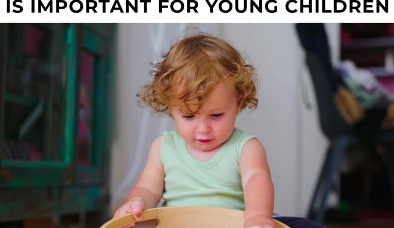 Why Sorting Is Important for Young Children