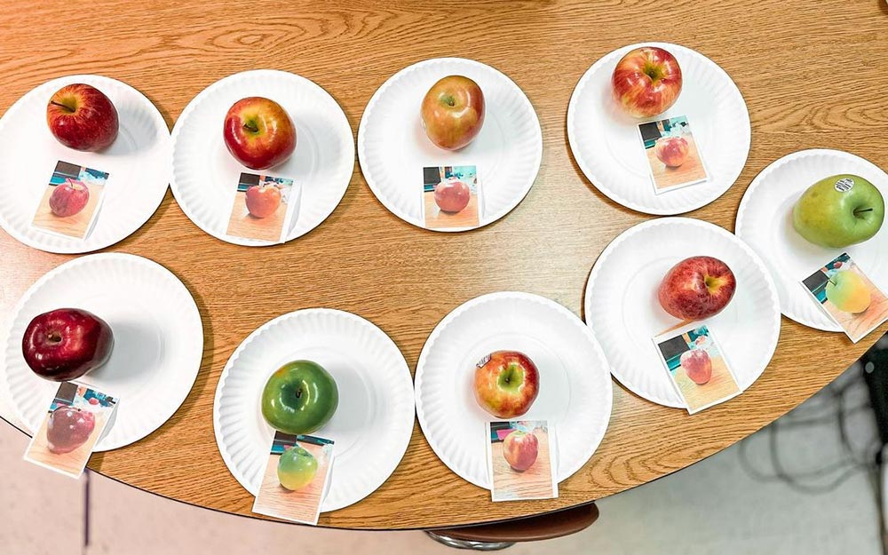 Nine real apple varieties are arranged individually on white paper plates with matching apple photograph cards. The setup supports an apple tasting, identification, comparison, or favorite-apple activity.